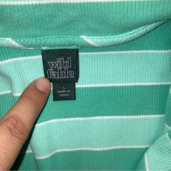 Wild FableWomen’s Green Striped Dress Size Large | Preppy Polo Collar - Picture 9 of 9